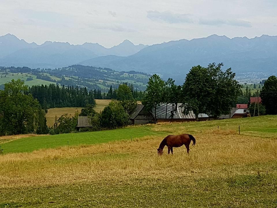 Kwatera prywatna Gazdówka Zbójnicka